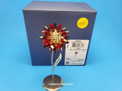 PARADISE FLOWERS – DOMONI LIGHT SIAM flower # 848452