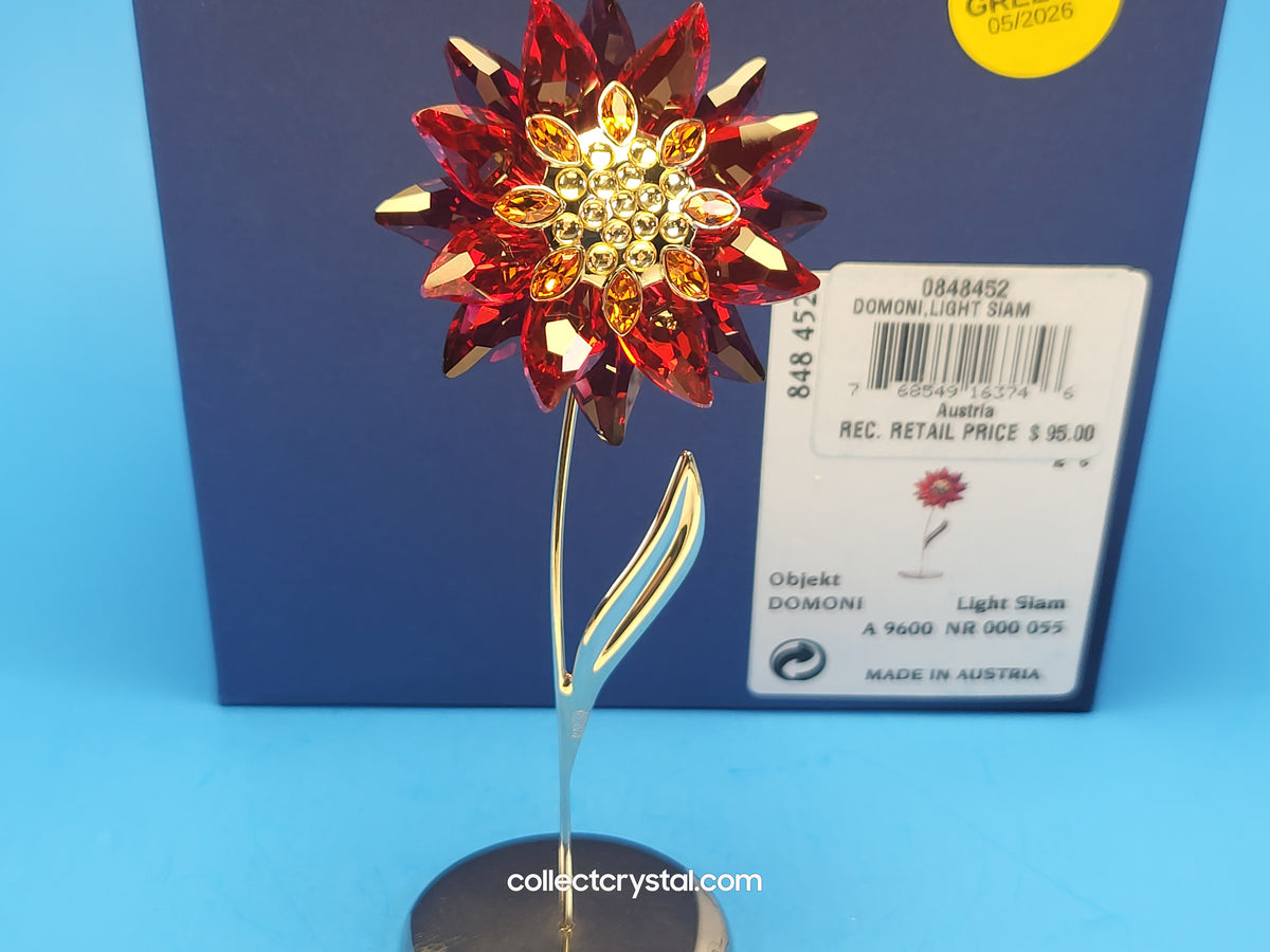 PARADISE FLOWERS – DOMONI LIGHT SIAM flower # 848452