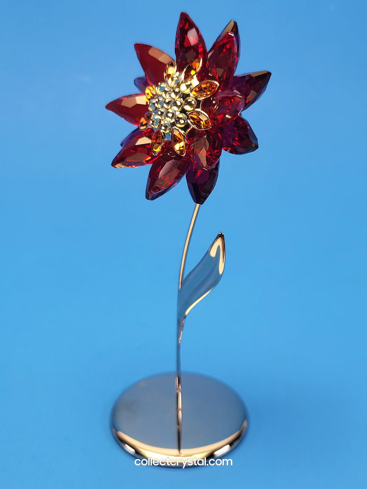 PARADISE FLOWERS – DOMONI LIGHT SIAM flower # 848452