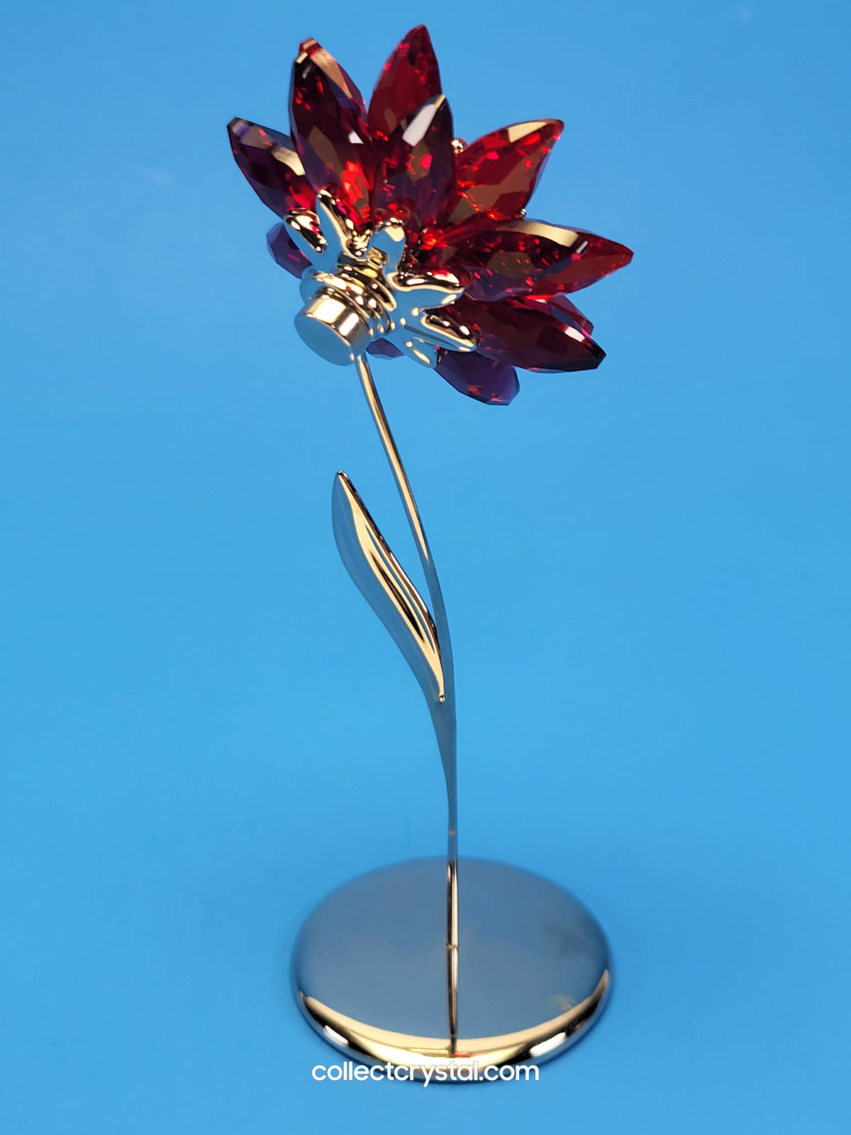 PARADISE FLOWERS – DOMONI LIGHT SIAM flower # 848452