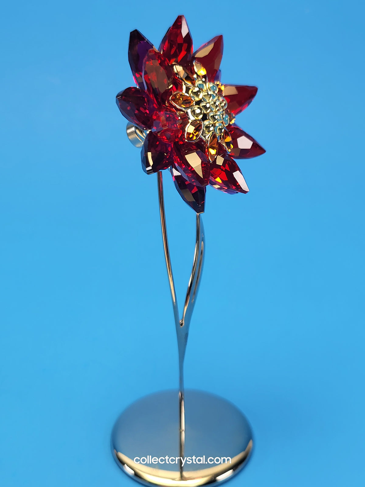 PARADISE FLOWERS – DOMONI LIGHT SIAM flower # 848452