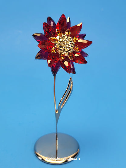 PARADISE FLOWERS – DOMONI LIGHT SIAM flower # 848452