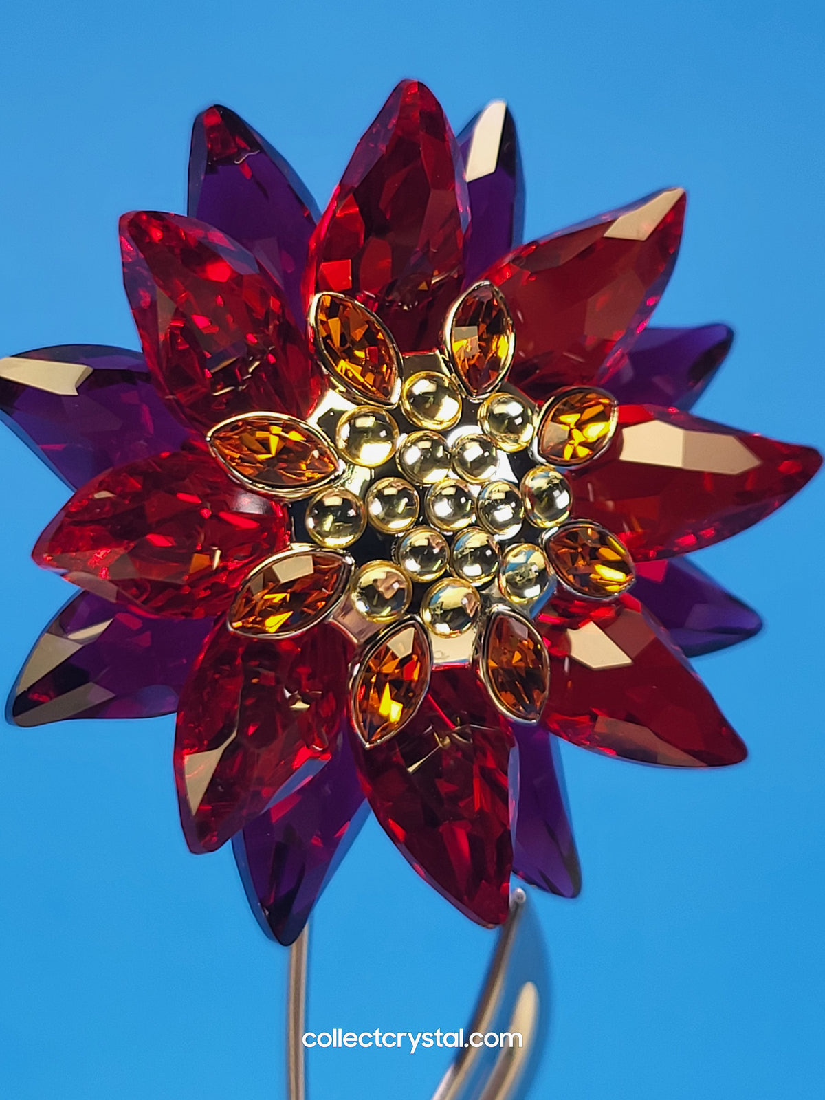 PARADISE FLOWERS – DOMONI LIGHT SIAM flower # 848452