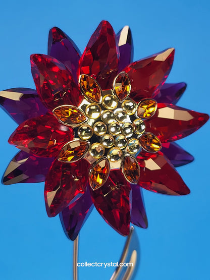 PARADISE FLOWERS – DOMONI LIGHT SIAM flower # 848452