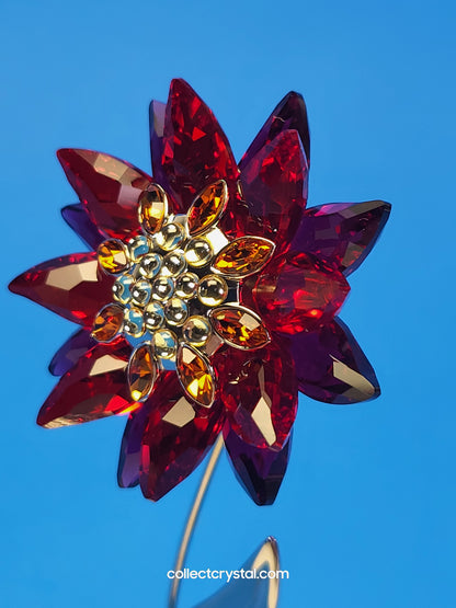 PARADISE FLOWERS – DOMONI LIGHT SIAM flower # 848452
