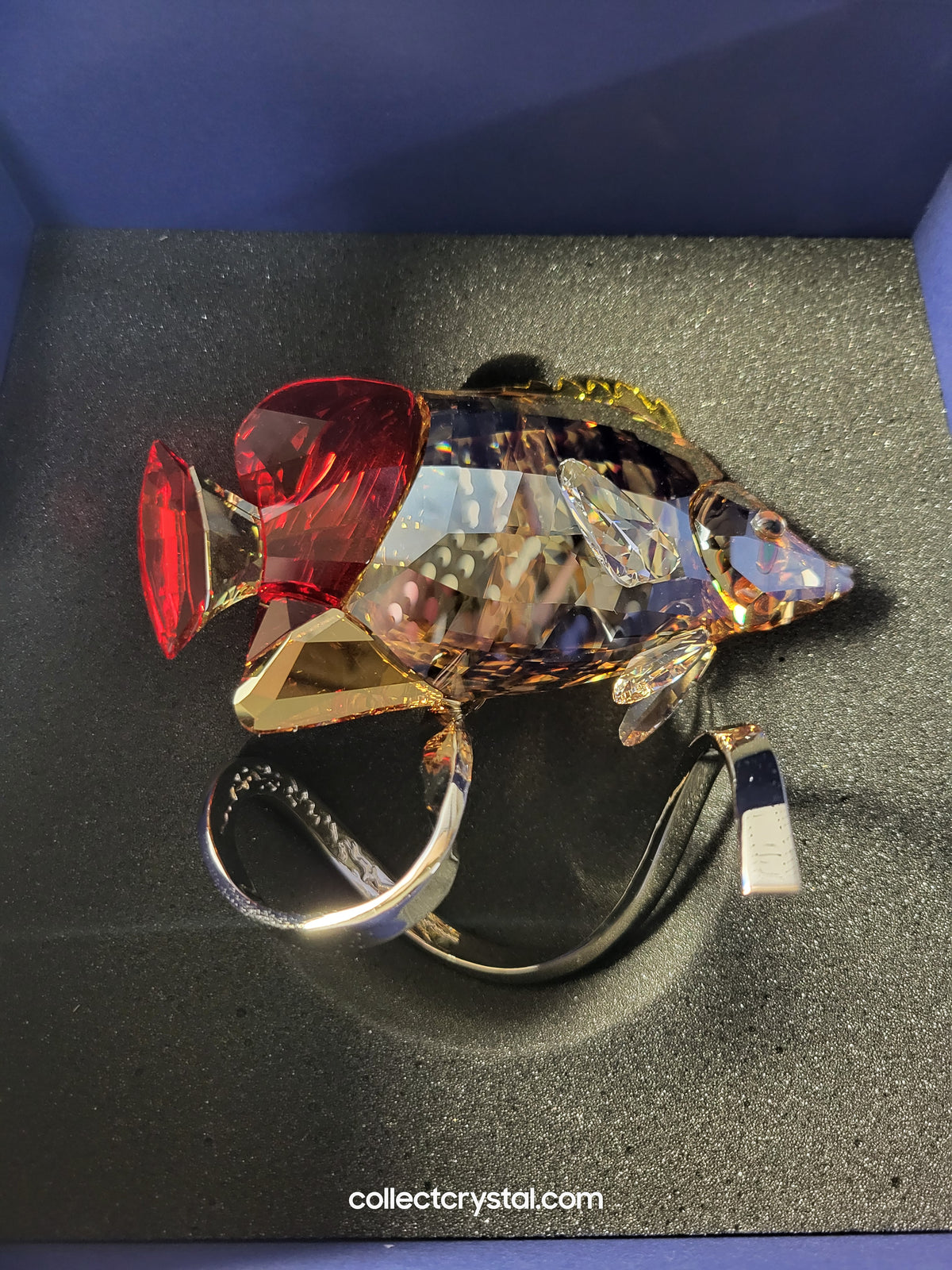 PARADISE FISH – BUTTERFLY FISH LIGHT SIAM 1040347
