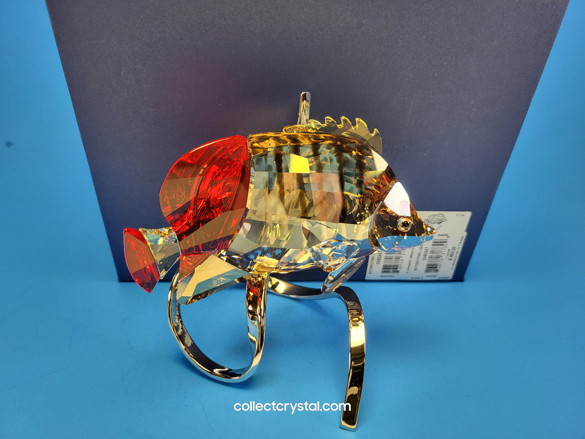 PARADISE FISH – BUTTERFLY FISH LIGHT SIAM 1040347