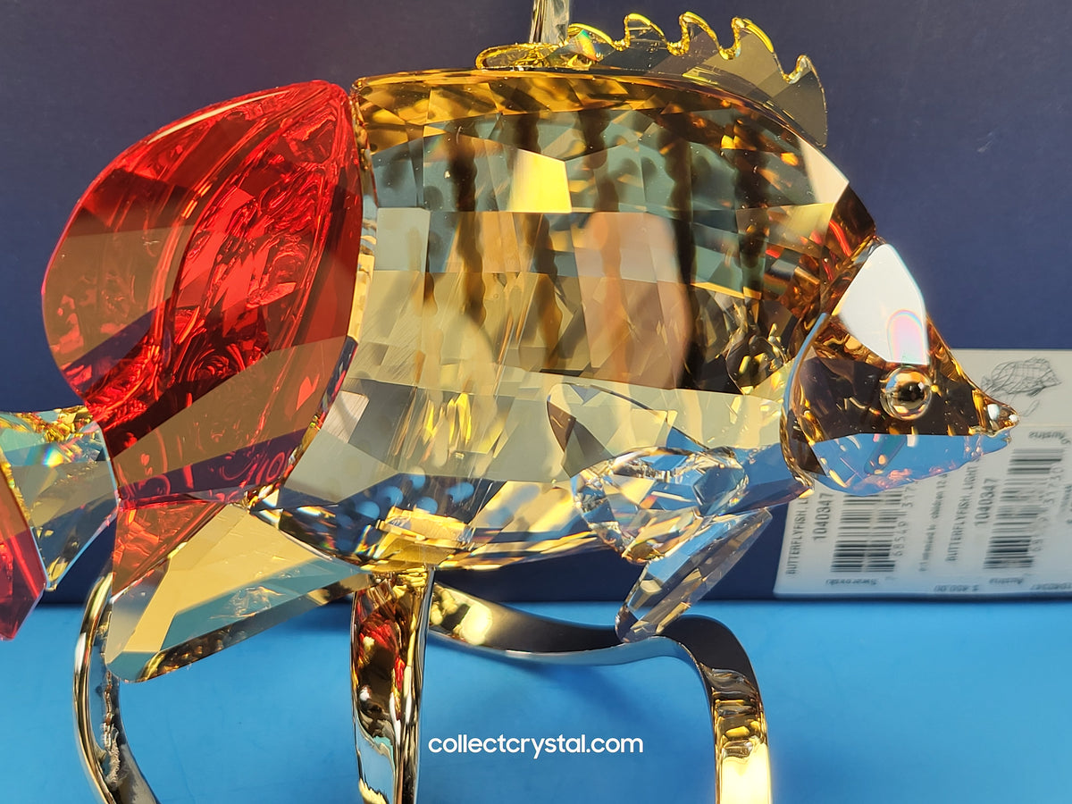 PARADISE FISH – BUTTERFLY FISH LIGHT SIAM 1040347