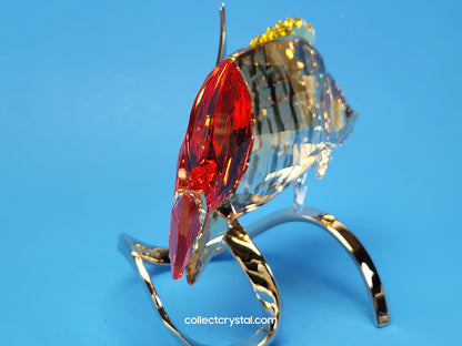 PARADISE FISH – BUTTERFLY FISH LIGHT SIAM 1040347