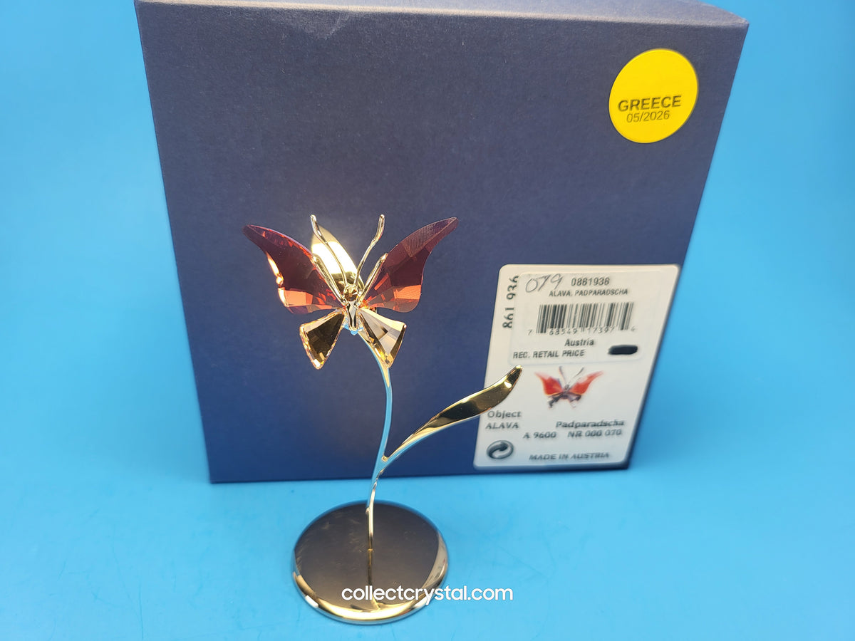 PARADISE BUGS OBJECT – BUTTERFLY - ALAVA PADPARADSCHA -  # 861936