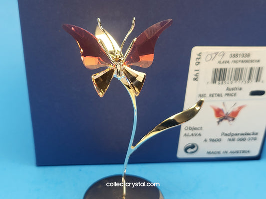 PARADISE BUGS OBJECT – BUTTERFLY - ALAVA PADPARADSCHA -  # 861936
