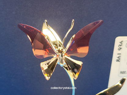 PARADISE BUGS OBJECT – BUTTERFLY - ALAVA PADPARADSCHA -  # 861936