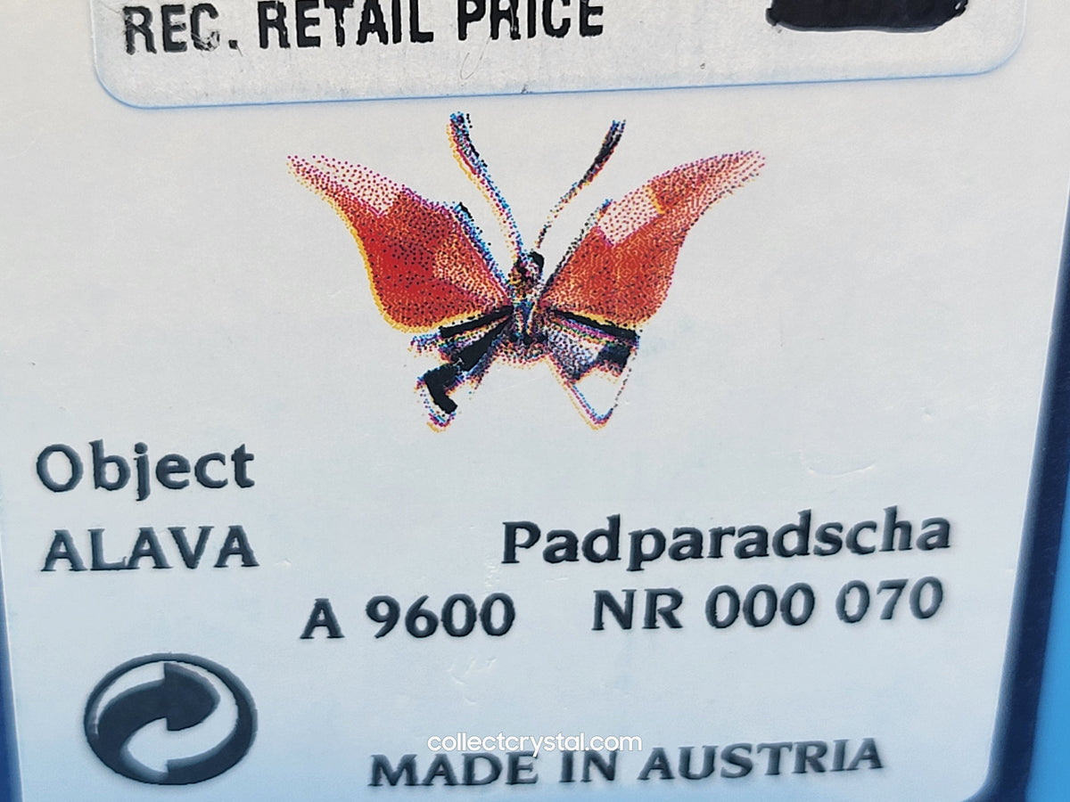 PARADISE BUGS OBJECT – BUTTERFLY - ALAVA PADPARADSCHA -  # 861936