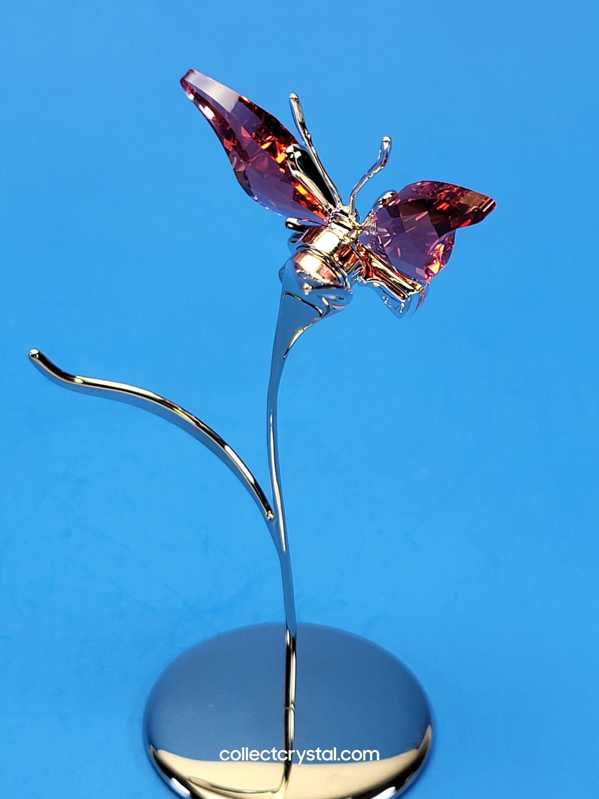 PARADISE BUGS OBJECT – BUTTERFLY - ALAVA PADPARADSCHA -  # 861936