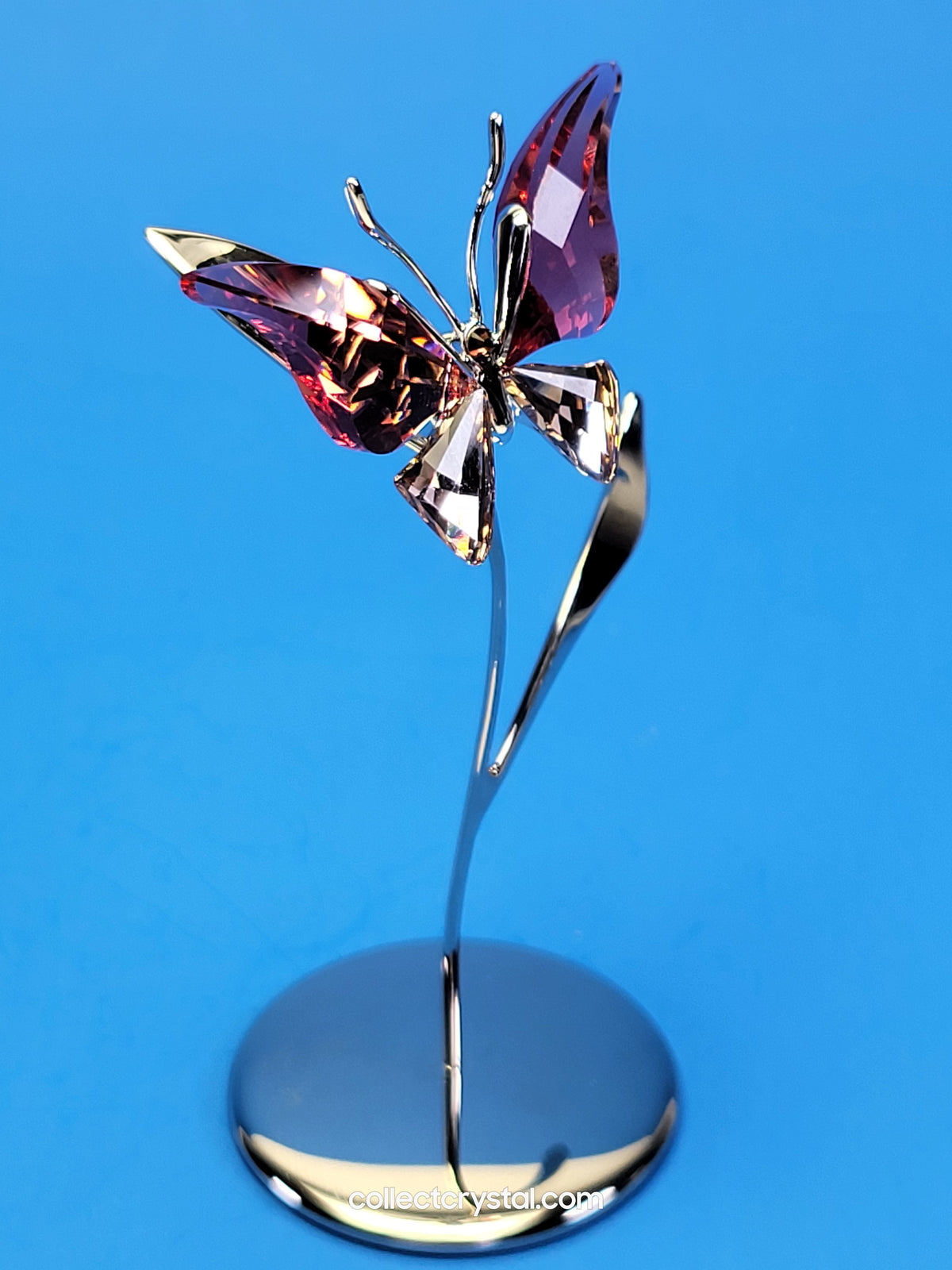 PARADISE BUGS OBJECT – BUTTERFLY - ALAVA PADPARADSCHA -  # 861936