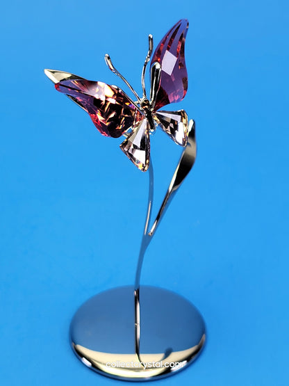 PARADISE BUGS OBJECT – BUTTERFLY - ALAVA PADPARADSCHA -  # 861936