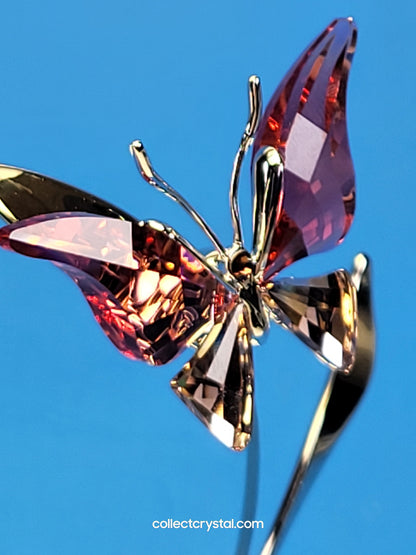 PARADISE BUGS OBJECT – BUTTERFLY - ALAVA PADPARADSCHA -  # 861936