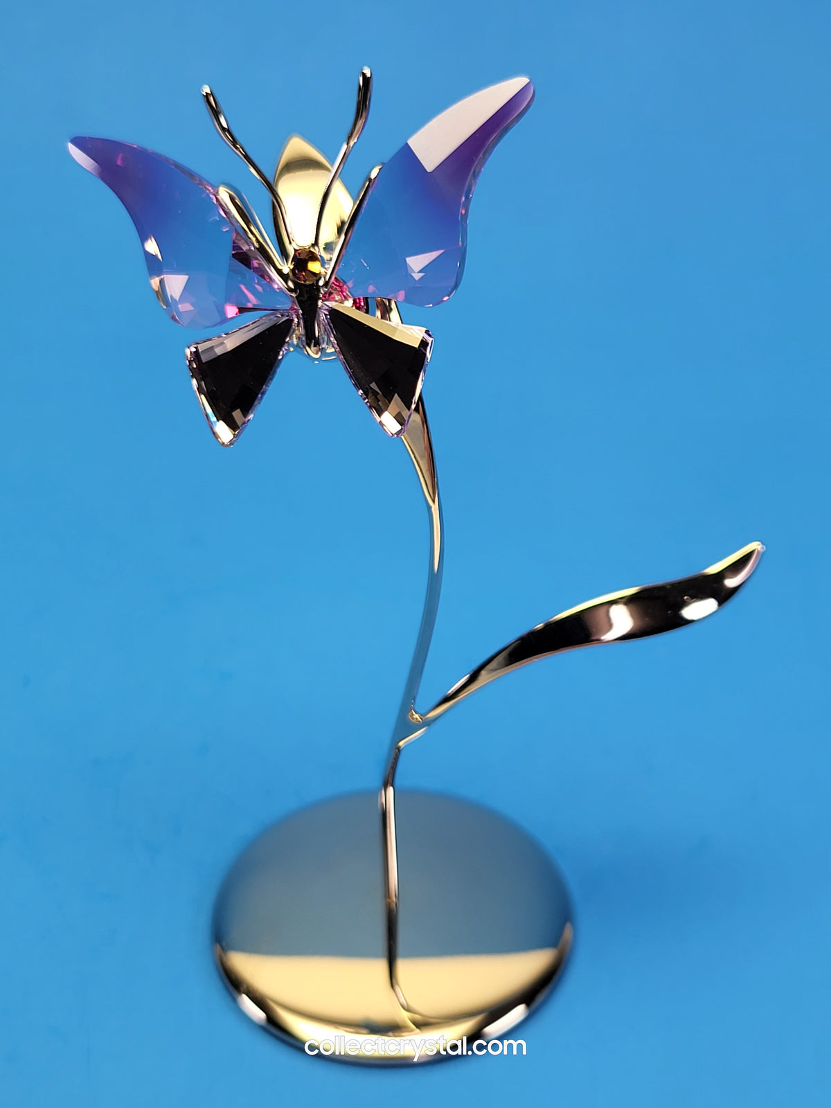 PARADISE BUGS OBJECT – BUTTERFLY - AMARA FUCHSIA RAIN -  # 861937