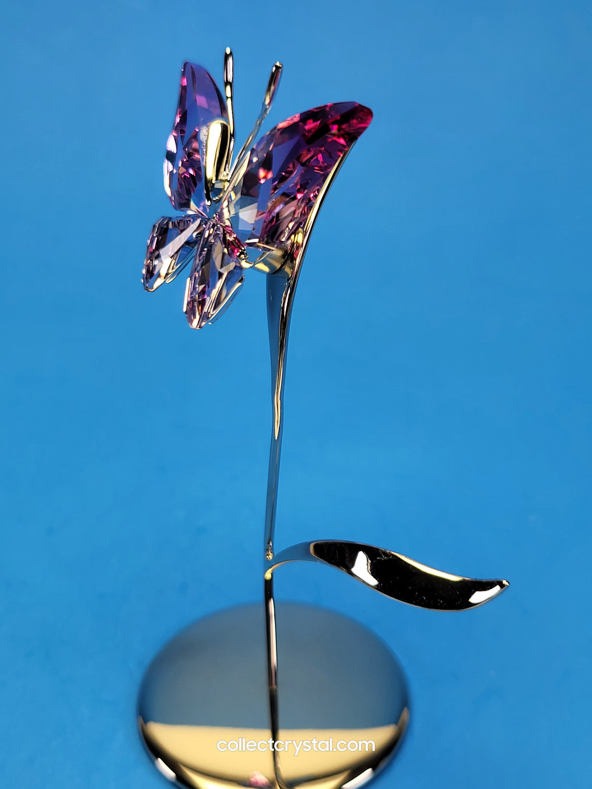 PARADISE BUGS OBJECT – BUTTERFLY - AMARA FUCHSIA RAIN -  # 861937