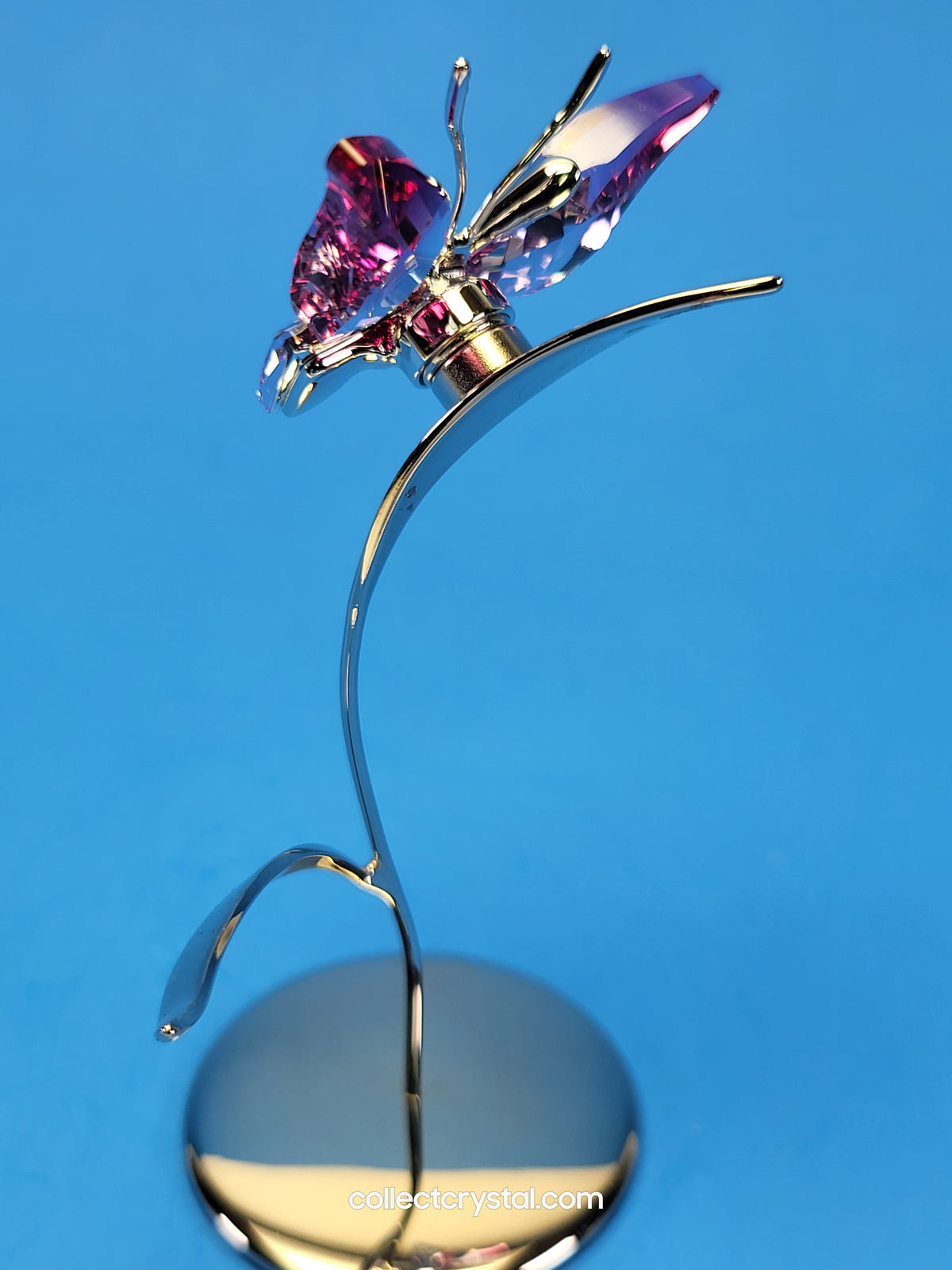 PARADISE BUGS OBJECT – BUTTERFLY - AMARA FUCHSIA RAIN -  # 861937