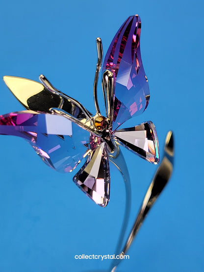 PARADISE BUGS OBJECT – BUTTERFLY - AMARA FUCHSIA RAIN -  # 861937