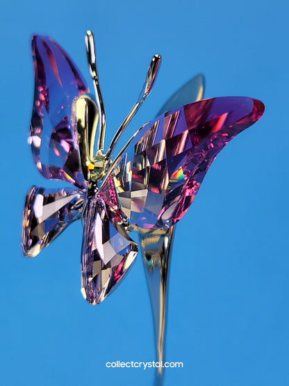 PARADISE BUGS OBJECT – BUTTERFLY - AMARA FUCHSIA RAIN -  # 861937