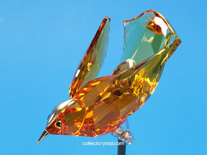 PARADISE BIRDS – OBJECT BAMOA SUN 284067 / 275573