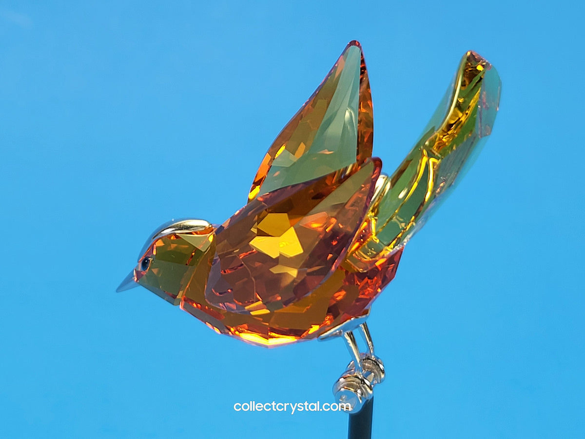 PARADISE BIRDS – OBJECT BAMOA SUN 284067 / 275573