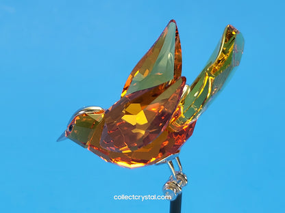 PARADISE BIRDS – OBJECT BAMOA SUN 284067 / 275573