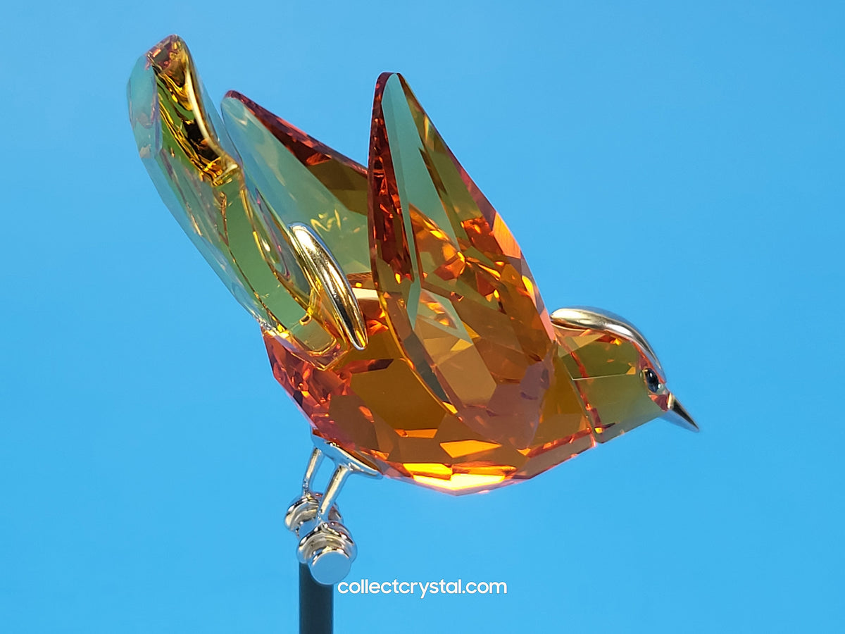 PARADISE BIRDS – OBJECT BAMOA SUN 284067 / 275573