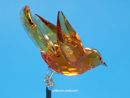PARADISE BIRDS – OBJECT BAMOA SUN 284067 / 275573