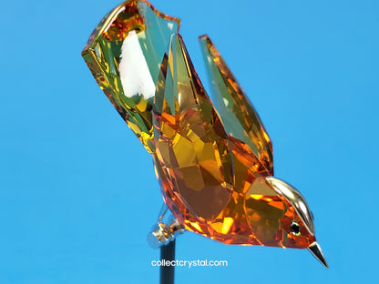 PARADISE BIRDS – OBJECT BAMOA SUN 284067 / 275573