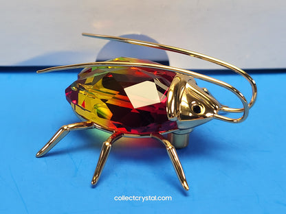 PARADISE BUGS OBJECT – BEETLE AMAZAR FIRE-OPAL MEDIUM 250473 / 240363