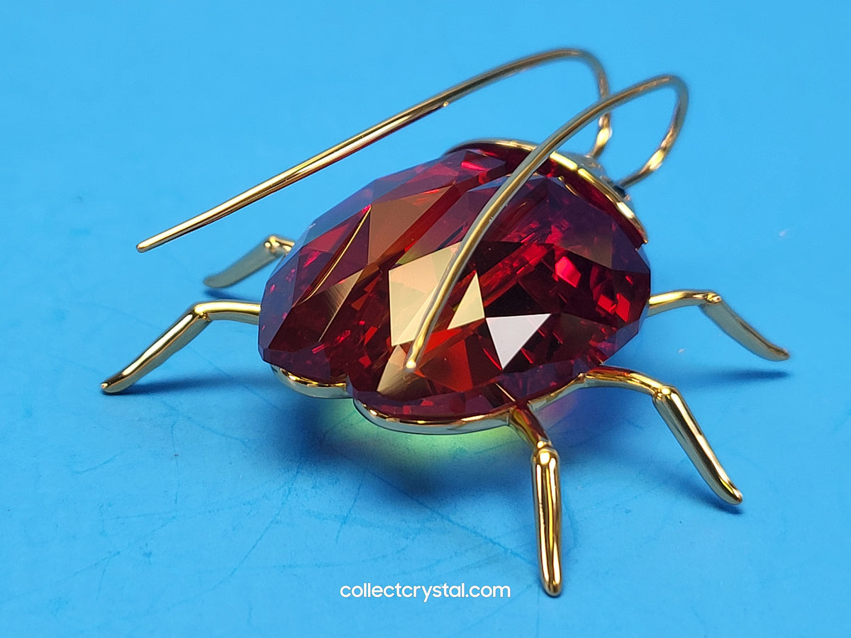 PARADISE BUGS OBJECT – BEETLE AMAZAR FIRE-OPAL MEDIUM 250473 / 240363