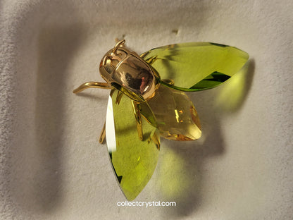 PARADISE BUGS OBJECT – FLY AKIMA OLIVE MEDIUM 250471
