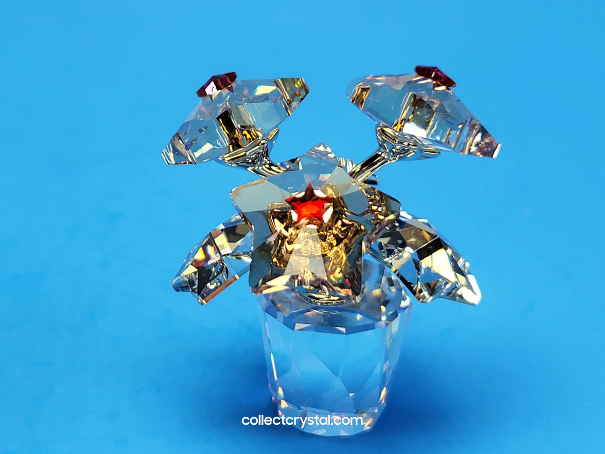 Star Blossoms Christmas Poinsettia Flowers in clear pot # 1006036