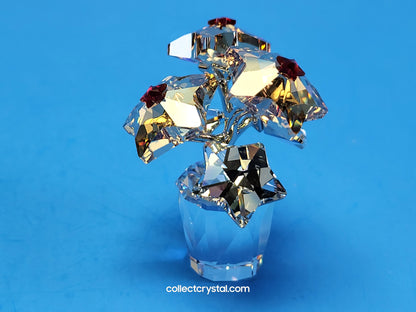 Star Blossoms Christmas Poinsettia Flowers in clear pot # 1006036