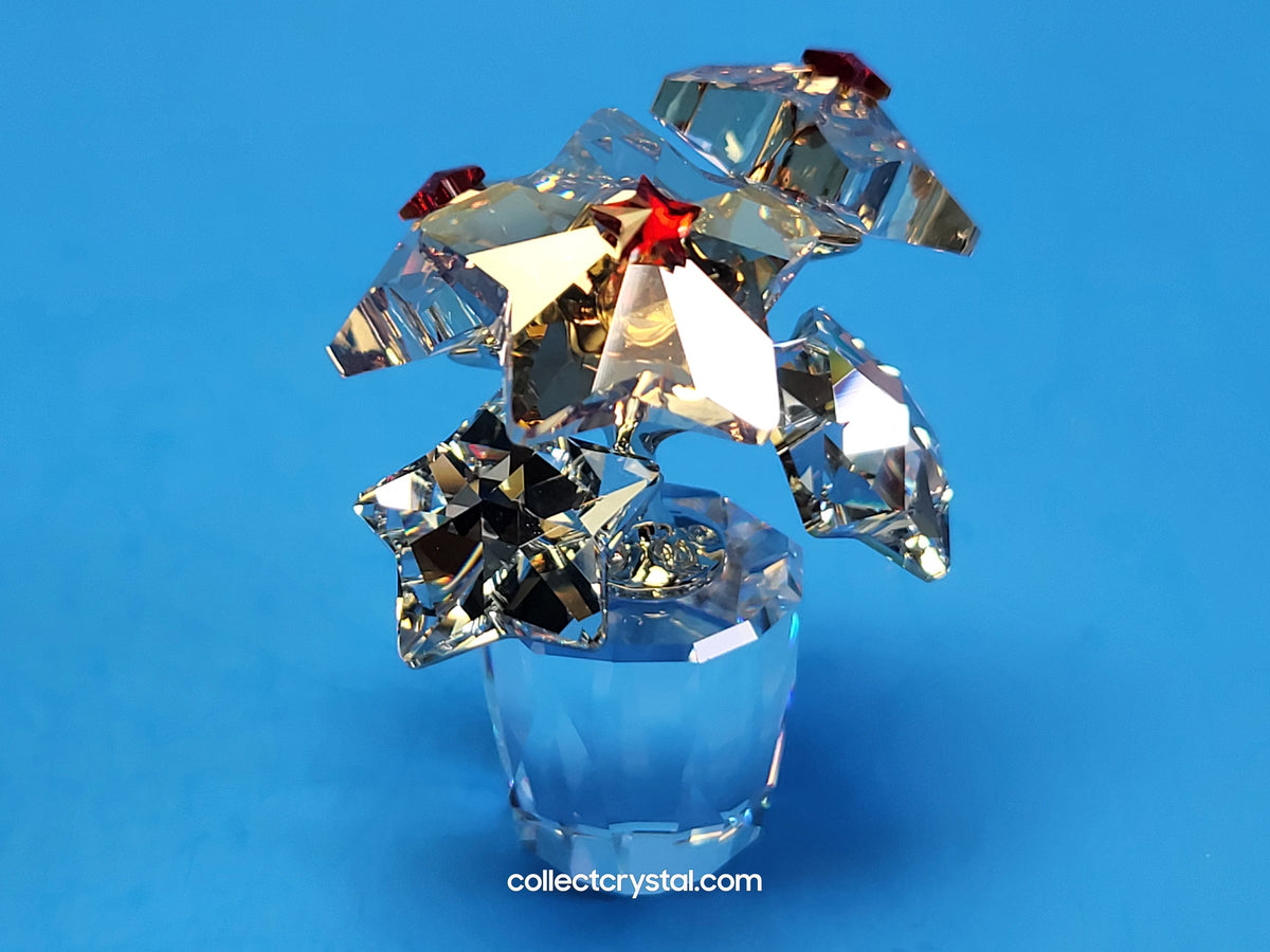 Star Blossoms Christmas Poinsettia Flowers in clear pot # 1006036