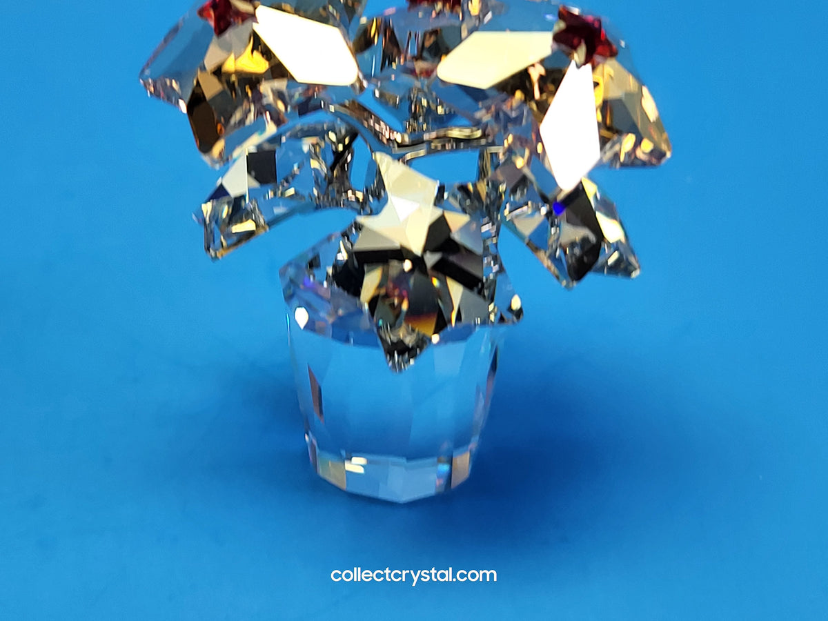 Star Blossoms Christmas Poinsettia Flowers in clear pot # 1006036