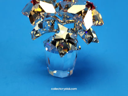 Star Blossoms Christmas Poinsettia Flowers in clear pot # 1006036