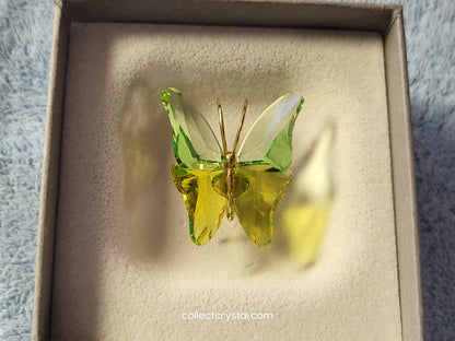 PARADISE BUGS OBJECT – BUTTERFLY ABALA CHRYSOLITE SMALL 250460
