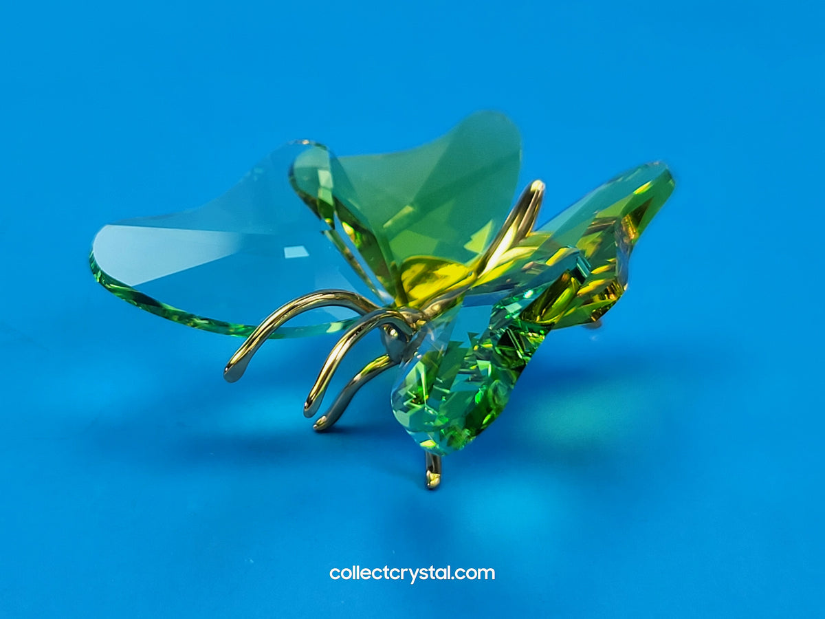 PARADISE BUGS OBJECT – BUTTERFLY ABALA CHRYSOLITE SMALL 250460
