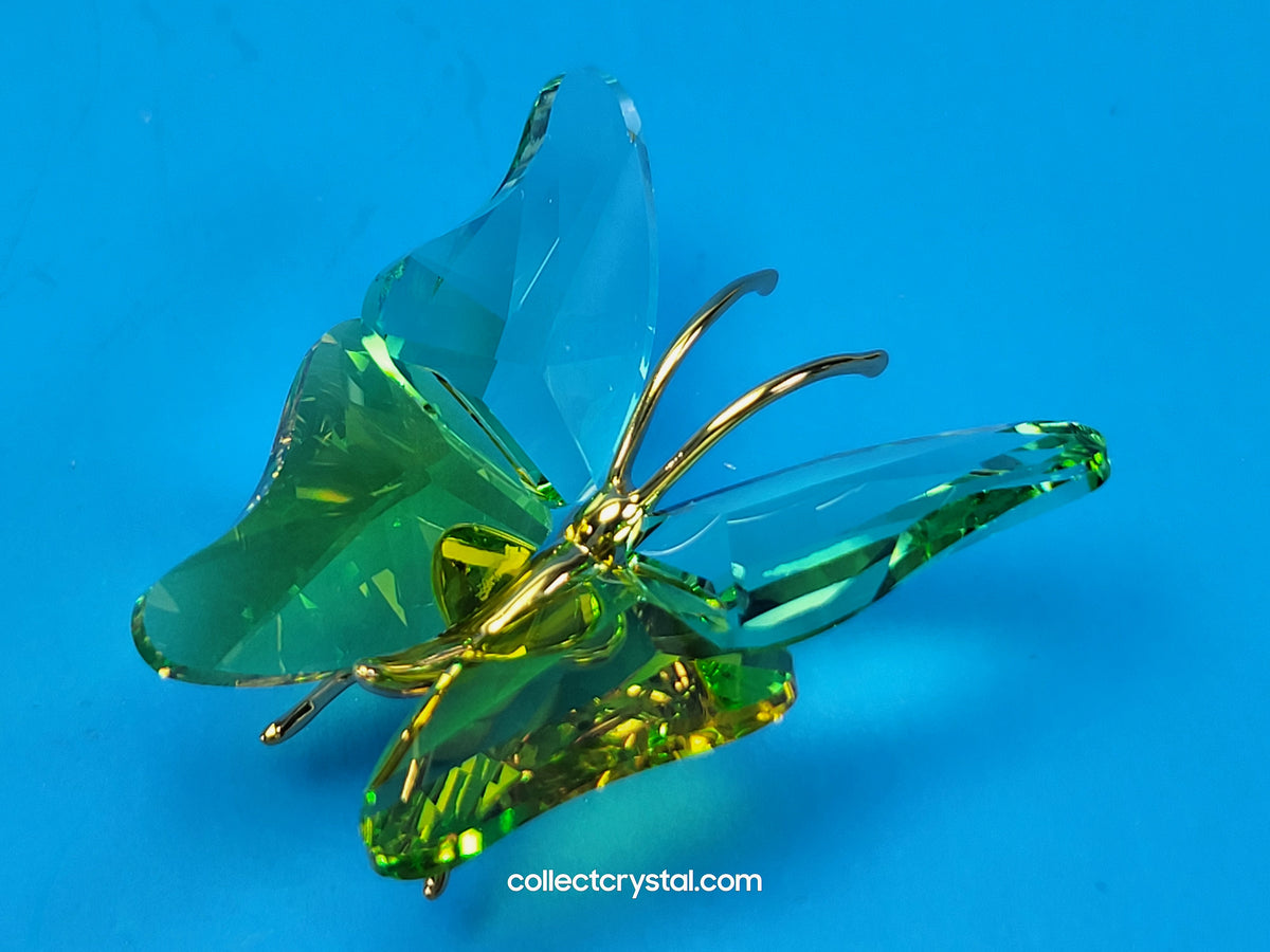 PARADISE BUGS OBJECT – BUTTERFLY ABALA CHRYSOLITE SMALL 250460