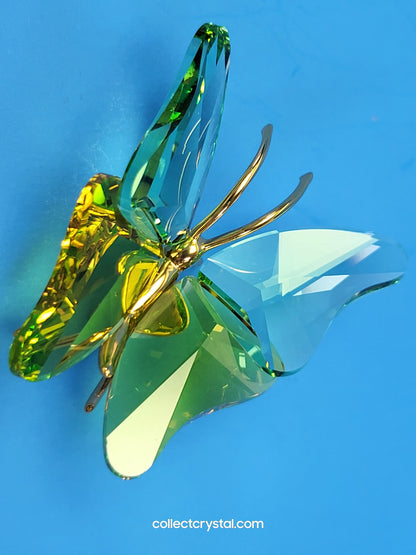 PARADISE BUGS OBJECT – BUTTERFLY ABALA CHRYSOLITE SMALL 250460