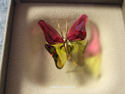 PARADISE BUGS OBJECT – BUTTERFLY ABALA RUBY SMALL 250459