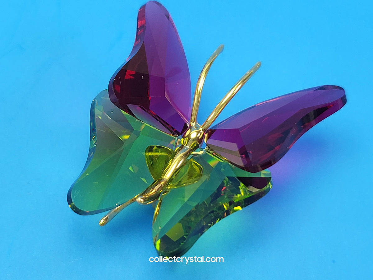 PARADISE BUGS OBJECT – BUTTERFLY ABALA RUBY SMALL 250459