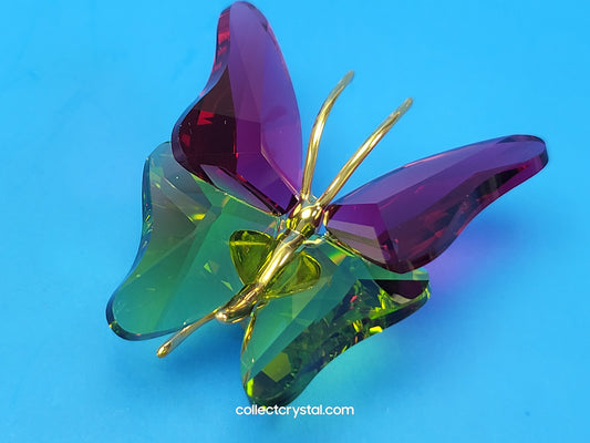 PARADISE BUGS OBJECT – BUTTERFLY ABALA RUBY SMALL 250459