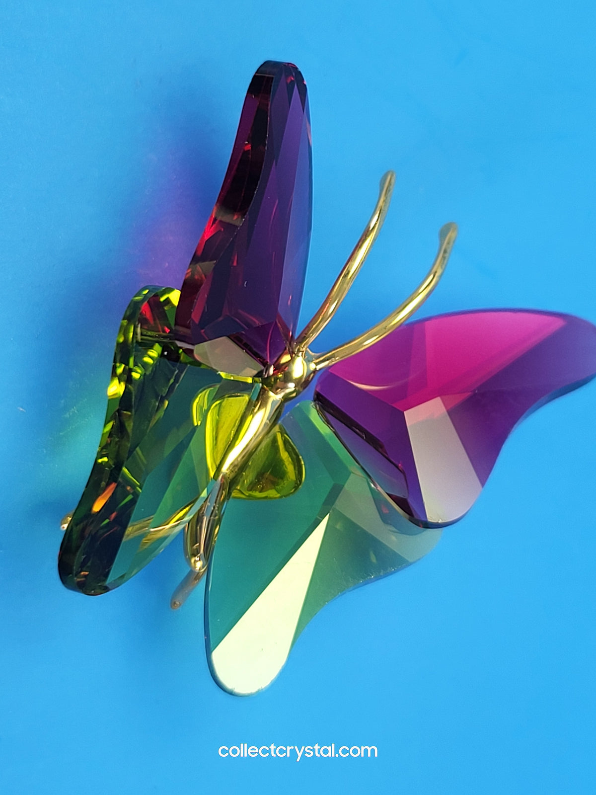 PARADISE BUGS OBJECT – BUTTERFLY ABALA RUBY SMALL 250459