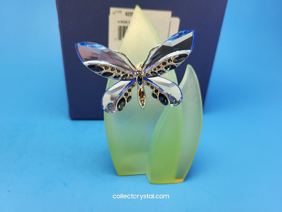 PARADISE BUGS BROOCH – BUTTERFLY ALMADA SAPPHIRE 622590