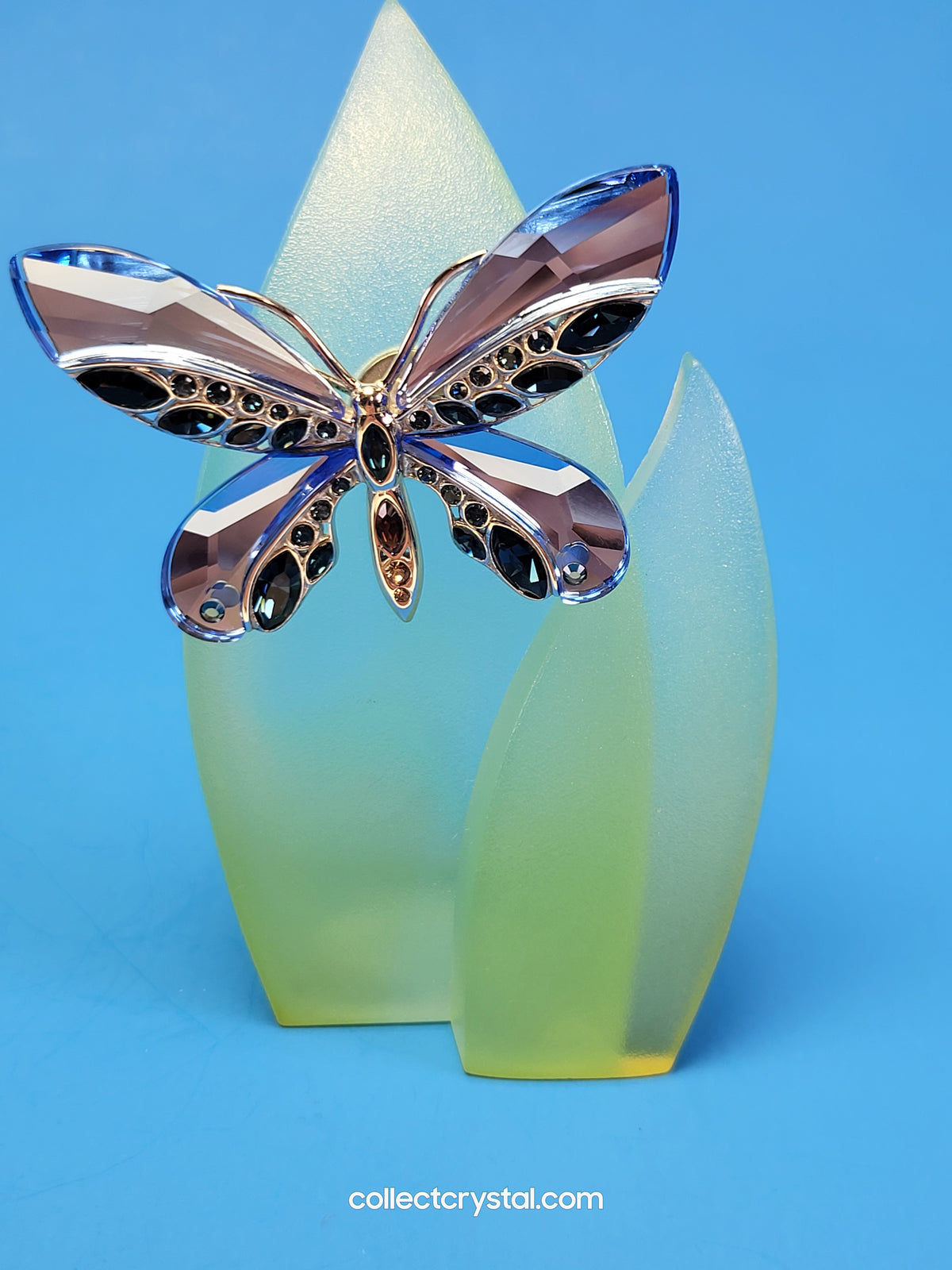 PARADISE BUGS BROOCH – BUTTERFLY ALMADA SAPPHIRE 622590